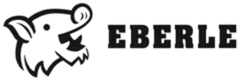 EBERLE Logo (DPMA, 01.07.2020)