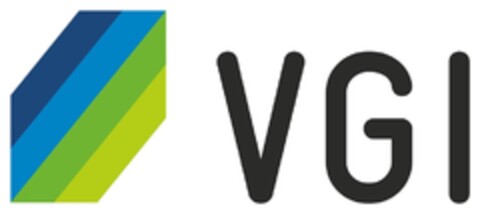 VGI Logo (DPMA, 19.02.2018)