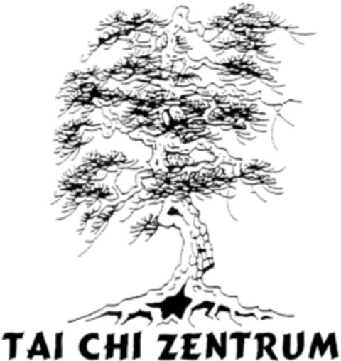 TAI CHI ZENTRUM Logo (DPMA, 31.03.1995)