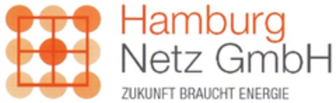 Hamburg Netz GmbH Zukunft braucht Energie Logo (DPMA, 12/22/2009)