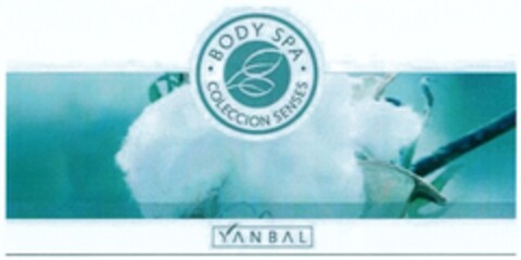 BODY SPA COLECCION SENSES YANBAL Logo (DPMA, 07/23/2008)