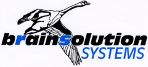 brainsolution SYSTEMS Logo (DPMA, 01.07.2003)