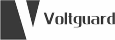 Voltguard Logo (DPMA, 23.04.2024)