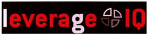 Leverage IQ Logo (DPMA, 10/22/2007)