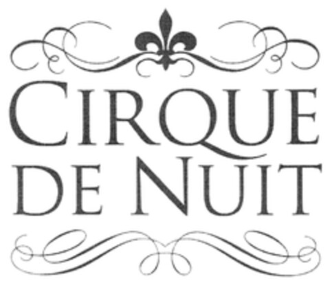 CIRQUE DE NUIT Logo (DPMA, 01.02.2011)