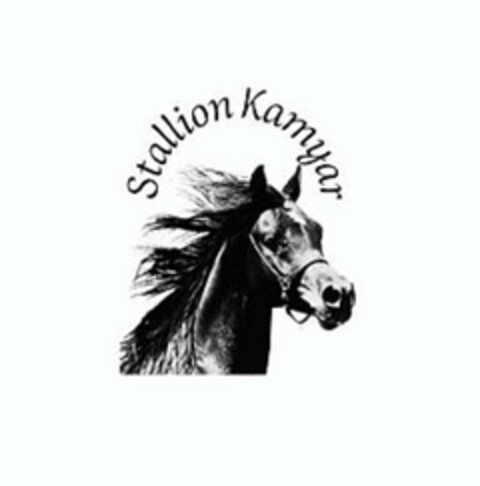 Stallion Kamyar Logo (DPMA, 01/24/2022)