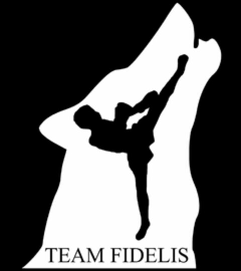 TEAM FIDELIS Logo (DPMA, 26.11.2023)