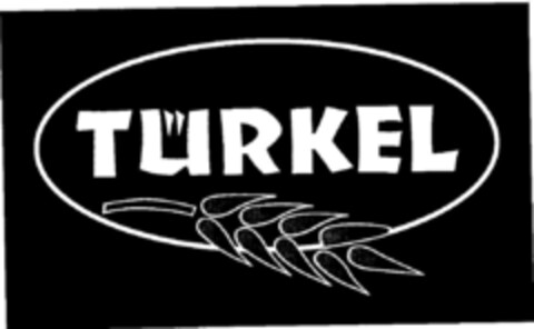 TÜRKEL Logo (DPMA, 05/26/1999)