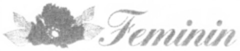 Feminin Logo (DPMA, 06/04/2010)