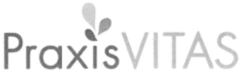 Praxis VITAS Logo (DPMA, 11.12.2013)