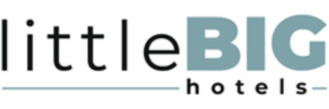 little BIG hotels Logo (DPMA, 18.04.2024)
