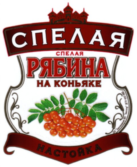 302008067280 Logo (DPMA, 22.10.2008)