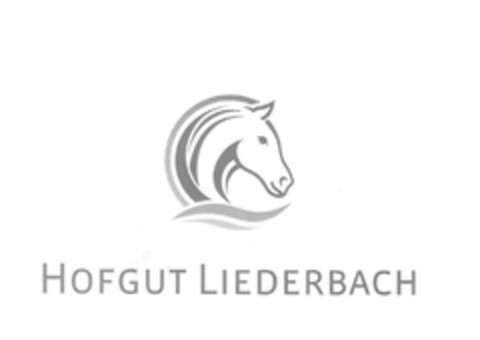 HOFGUT LIEDERBACH Logo (DPMA, 08/24/2015)