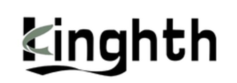 Kinghth Logo (DPMA, 07/17/2018)