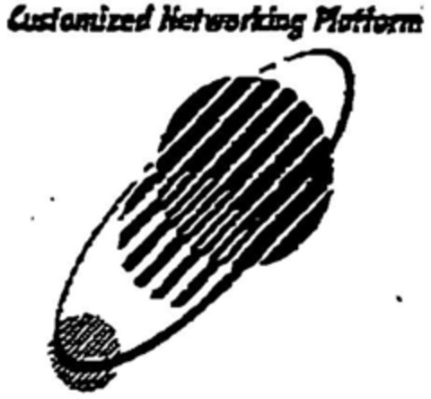Customized Networking Platform Logo (DPMA, 01.08.1996)