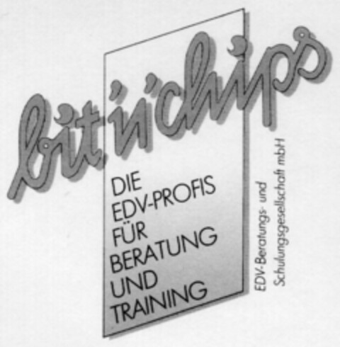 bit'n'chips DIE EDV-PROFIS FÜR BERATUNG UND TRAINING Logo (DPMA, 05/14/1990)