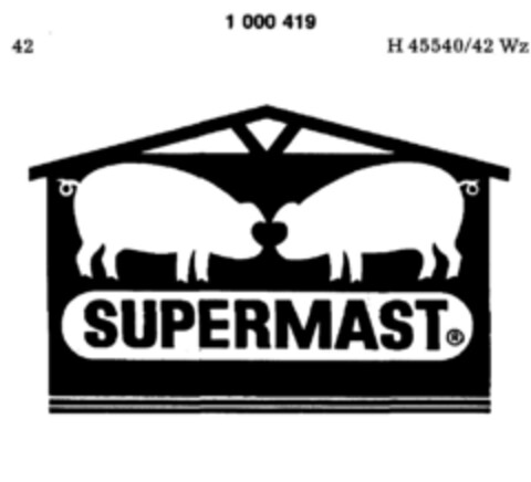 SUPERMAST Logo (DPMA, 02.04.1979)