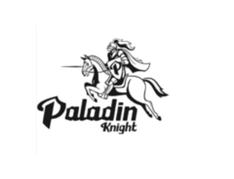 Paladin Knight Logo (DPMA, 04.11.2019)