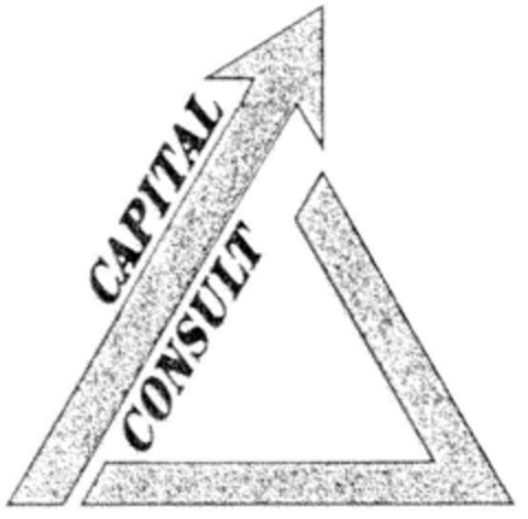 CAPITAL CONSULT Logo (DPMA, 02.11.2000)