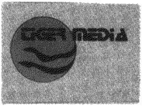 TIGER MEDIA Logo (DPMA, 01/24/1991)