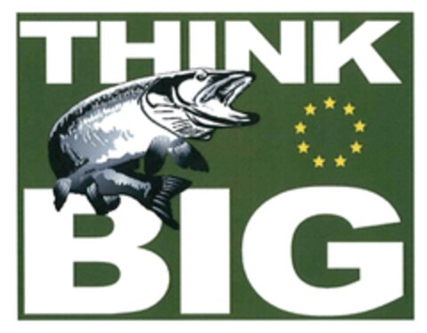 THINK BIG Logo (DPMA, 03.06.2015)