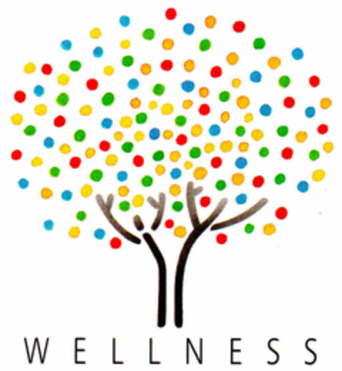 WELLNESS Logo (DPMA, 11/30/2000)