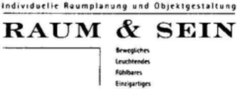 RAUM & SEIN Logo (DPMA, 06.02.2002)