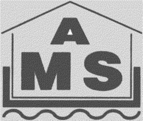 AMS Logo (DPMA, 08.04.1993)