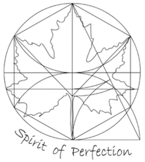 Spirit of Perfection Logo (DPMA, 06/15/2016)