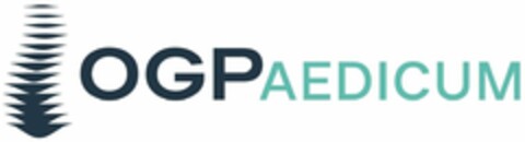 OGPAEDICUM Logo (DPMA, 14.09.2023)