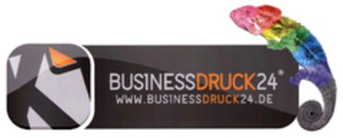 BUSINESSDRUCK24 WWW.BUSINESSDRUCK24.DE Logo (DPMA, 12/24/2010)