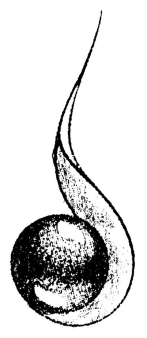 30051682 Logo (DPMA, 07/12/2000)