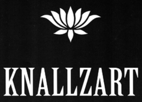 KNALLZART Logo (DPMA, 10.09.2014)