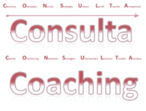 Consulta Coaching Logo (DPMA, 19.04.2013)