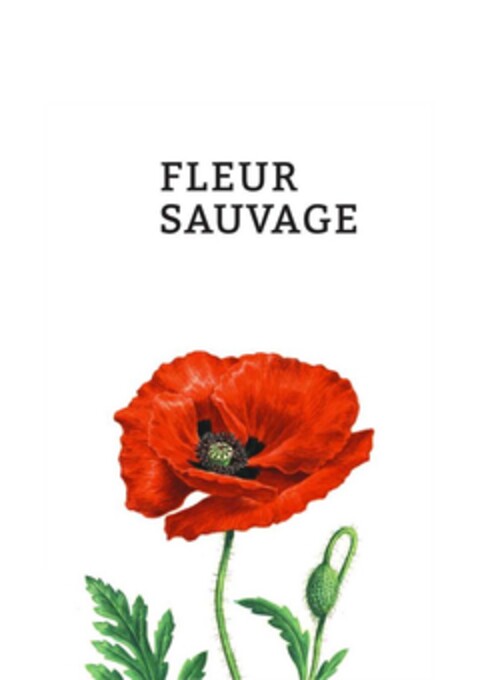 FLEUR SAUVAGE Logo (DPMA, 13.04.2018)