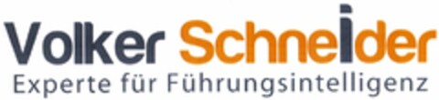 Volker Schneider Experte für Führungsintelligenz Logo (DPMA, 08/26/2011)