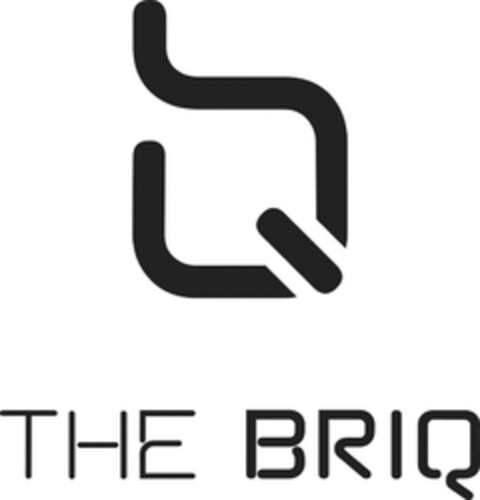 THE BRIQ Logo (DPMA, 03/26/2018)