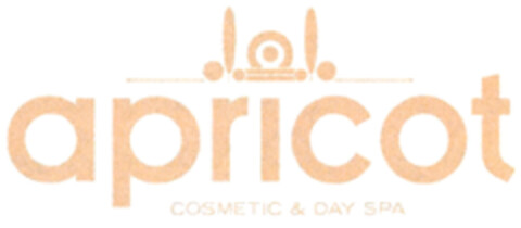 apricot COSMETIC & DAY SPA Logo (DPMA, 22.07.2019)