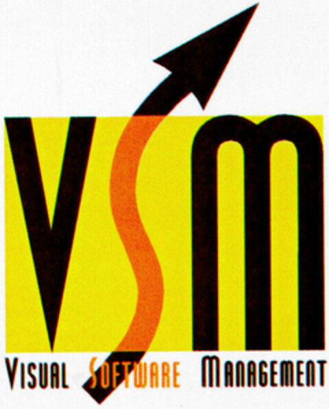 VSM VISUAL SOFTWARE MANAGEMENT Logo (DPMA, 03/17/1998)