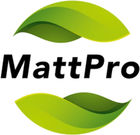 MattPro Logo (DPMA, 19.11.2017)