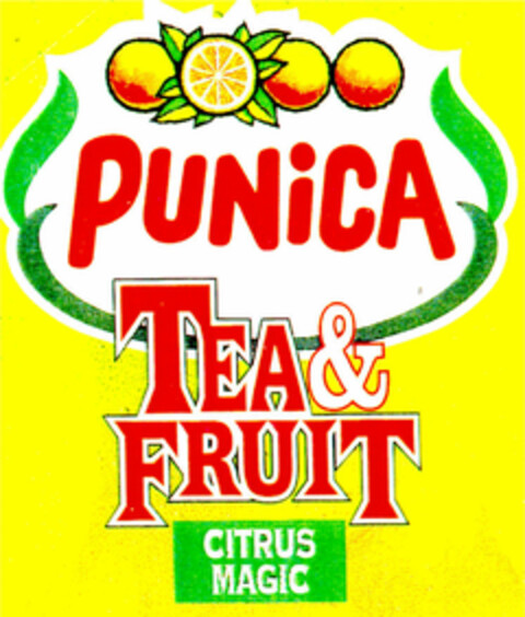 PUNICA TEA & FRUIT CITRUS MAGIC Logo (DPMA, 05.09.1995)