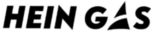 HEIN GAS Logo (DPMA, 01/27/1999)