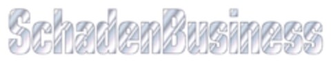 SchadenBusiness Logo (DPMA, 09.11.2006)