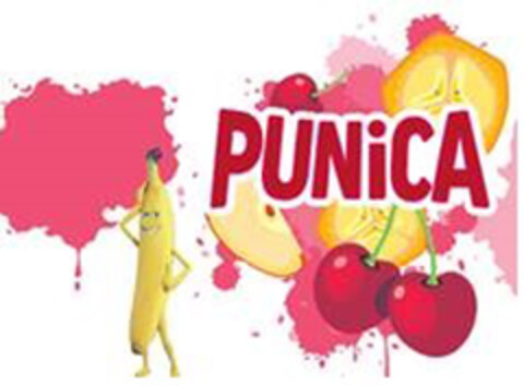 PUNiCA Logo (DPMA, 06.02.2019)