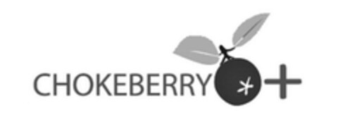 CHOKEBERRY Logo (DPMA, 06/08/2019)