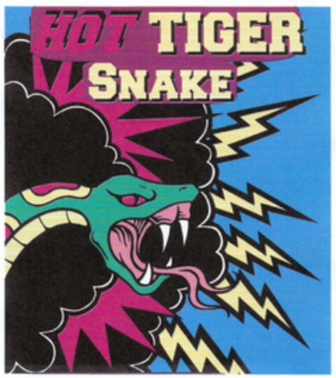 HOT TIGER SNAKE Logo (DPMA, 02/28/2011)