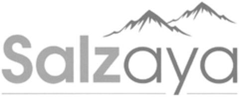 Salzaya Logo (DPMA, 31.07.2014)