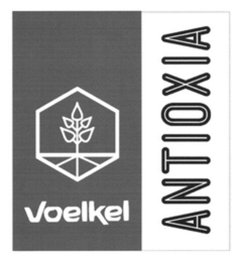 Voelkel ANTIOXIA Logo (DPMA, 18.01.2016)