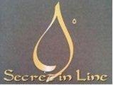 Secret in Line Logo (DPMA, 14.05.2013)