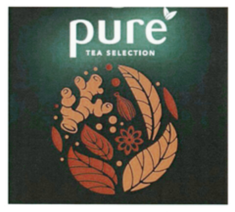 pure TEA SELECTION Logo (DPMA, 04.12.2019)